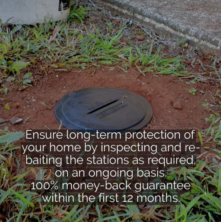 InGround Termite Bait Station Kit — 24 Pack + 1 kg Bait Termigold