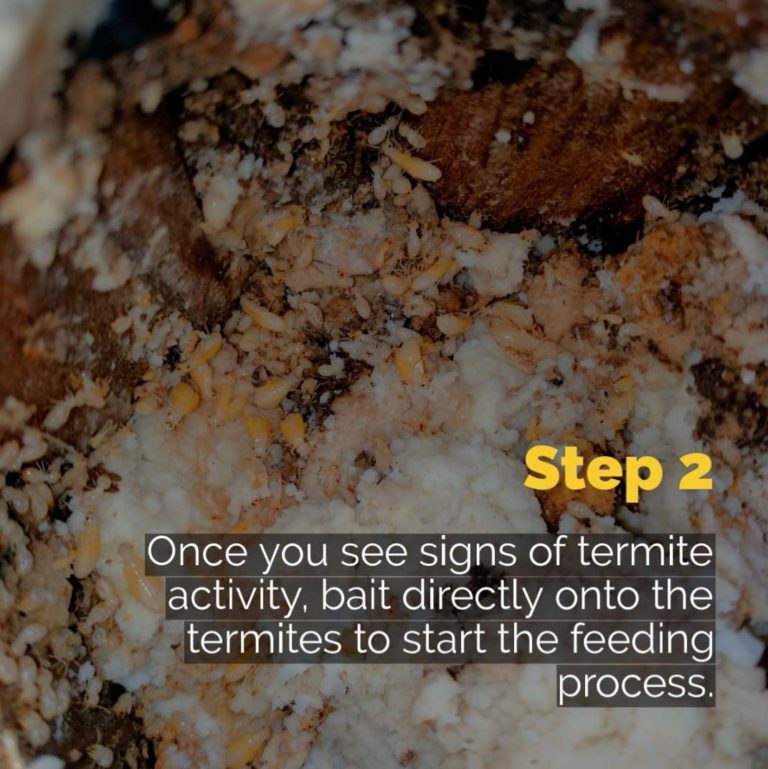 InGround Termite Bait Station Kit — 24 Pack + 1 kg Bait Termigold