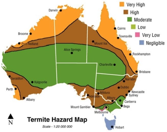 what-attracts-termites-termite-hazard-map