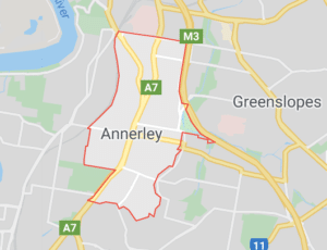 termites-in-Brisbane-annerley