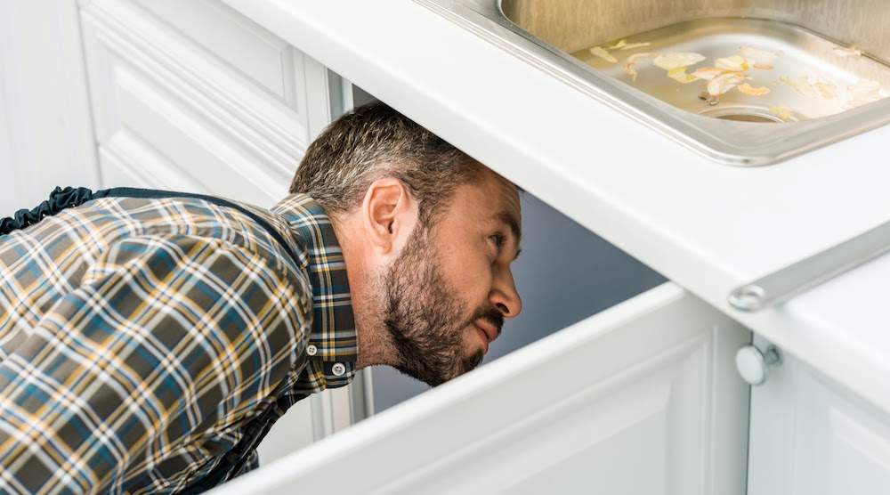 looking-under-sink-for-termites