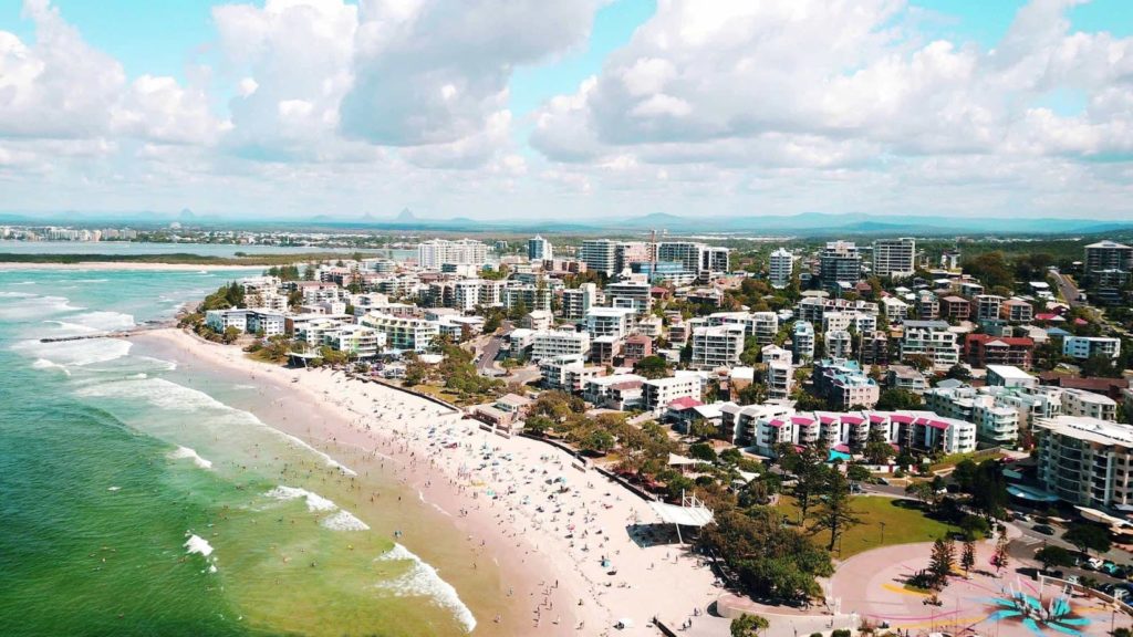 termite-treatment-sunshine-coast
