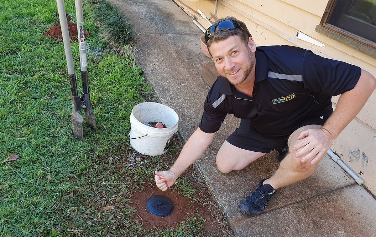 how-to-set-out-your-home-termite-bait-system-daniel3